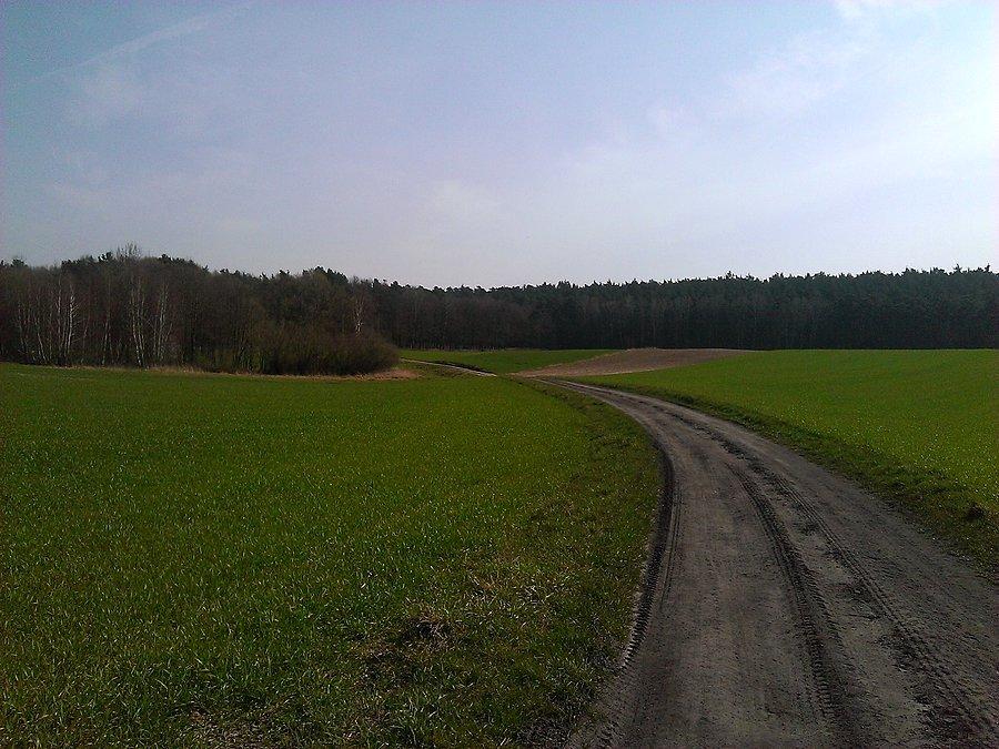 Pierścień