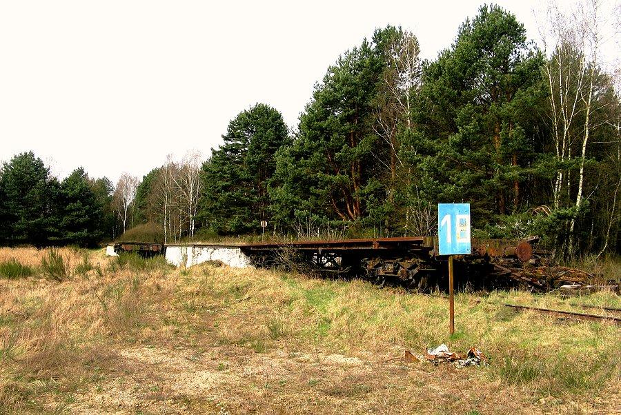 Poligon Biedrusko