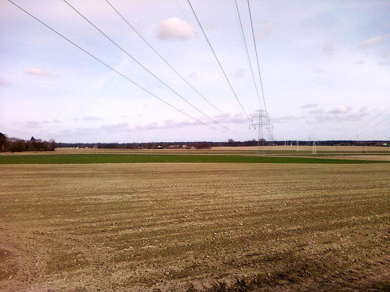 Widok w stronę Lućmierza