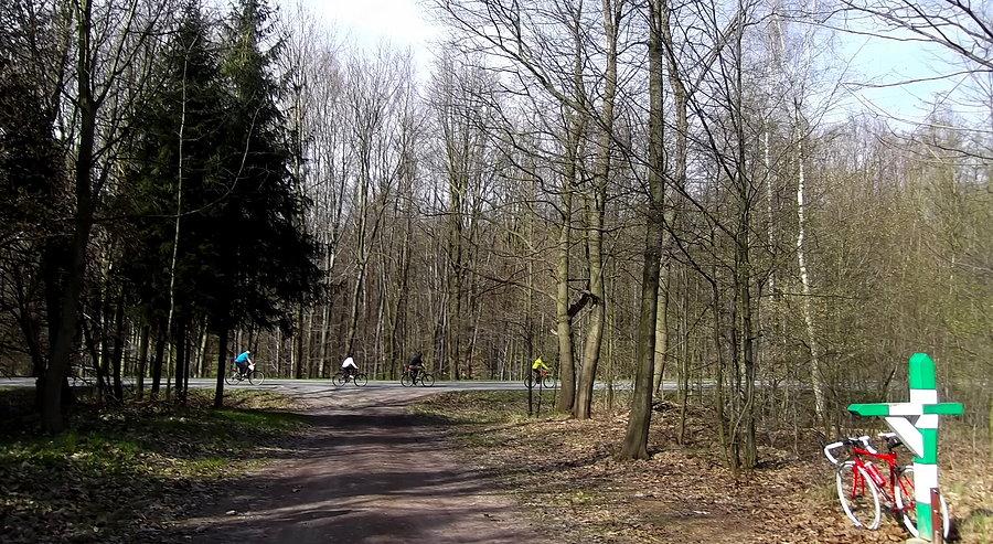 Rowerzystów coraz więcej