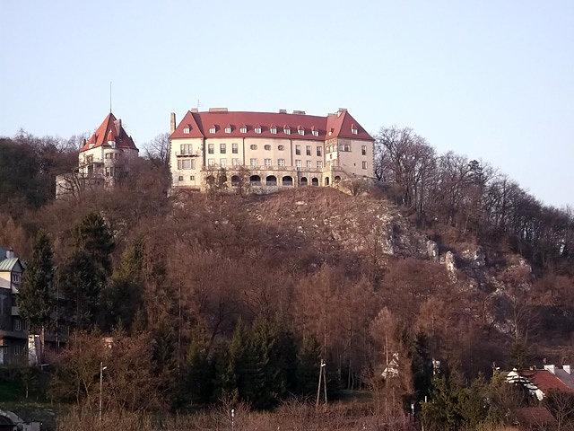 Zamek w Przegorzałach