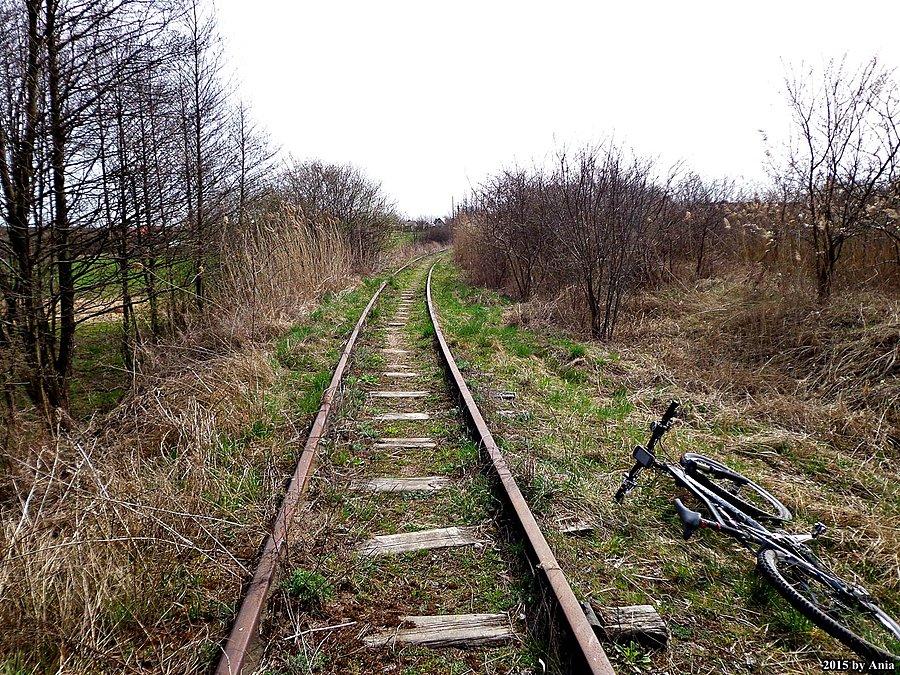 Grójecka Kolej Wąskotorowa