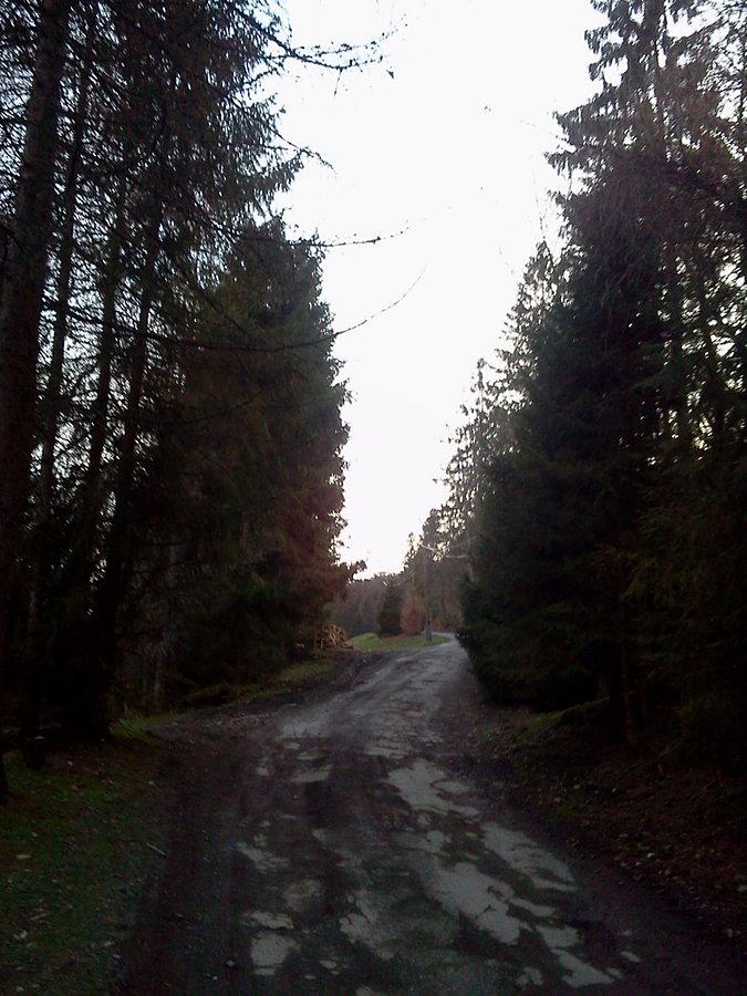 Podjazd na Świniorkę