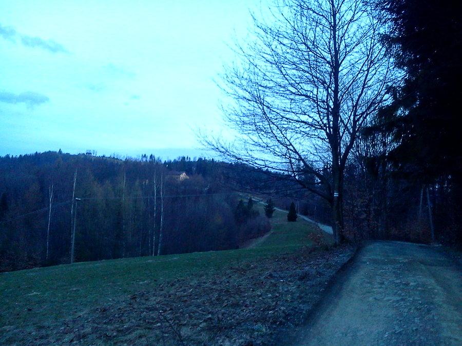Zakrzosek