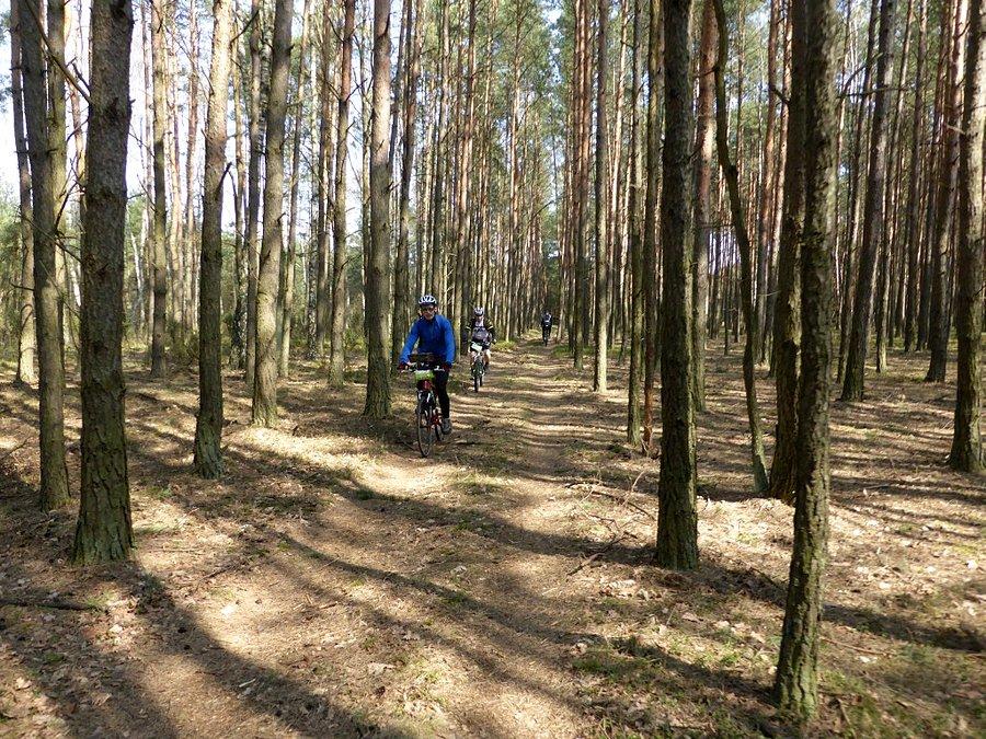 Lubię taki klimat