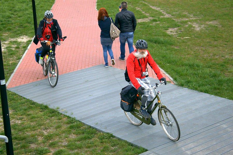 Wjeżdżamy na wieżę widokową w Nowym Warpnie
