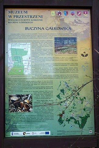 Przystanek Muzeum w przestrzeni "Buczyna Gałkowska"