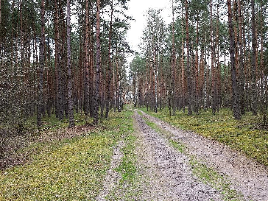 Droga za "Żelazną Bramą"