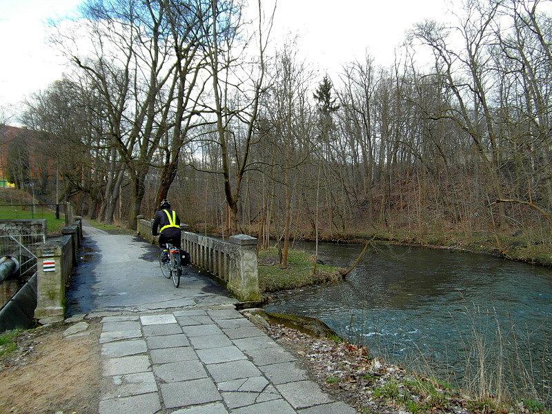 Rowerowe szaleństwo w lasku miejskim w Olsztynie