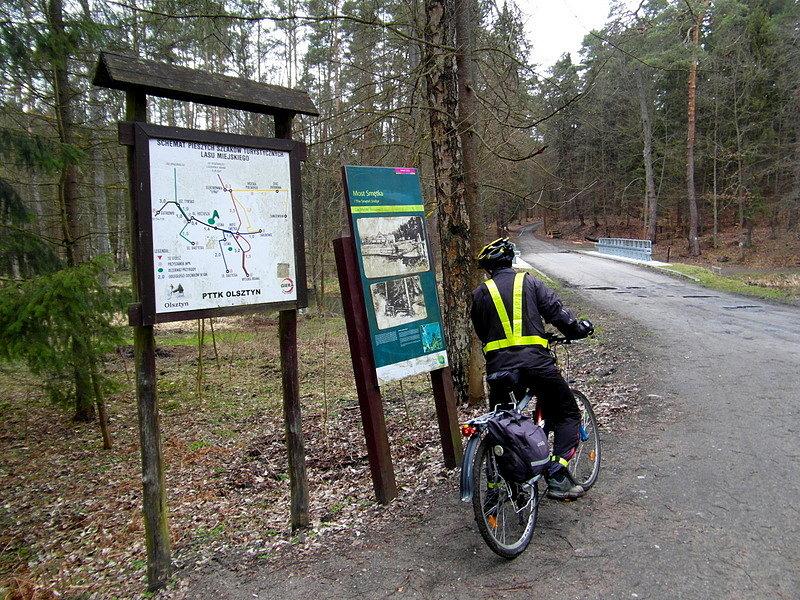 Rowerowe szaleństwo w lasku miejskim w Olsztynie