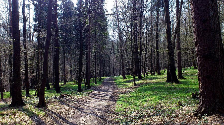 Dojazd Balaton Wodzisław