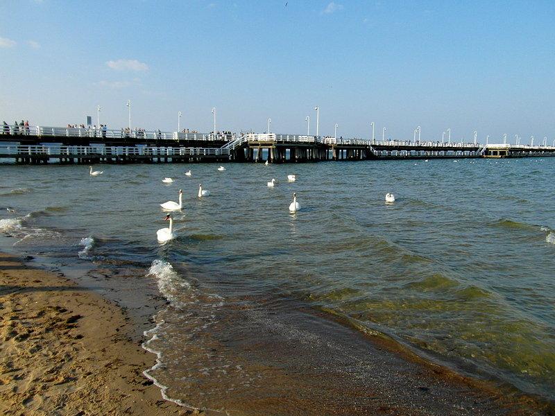 Plaża w Sopocie