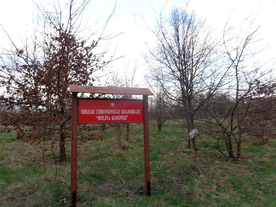 Dolina Kosówki