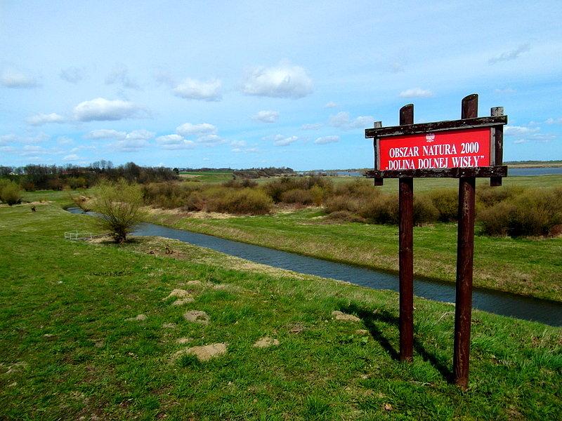 Dolina dolnej wisły