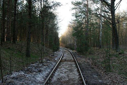 Torowisko leśne w piasku