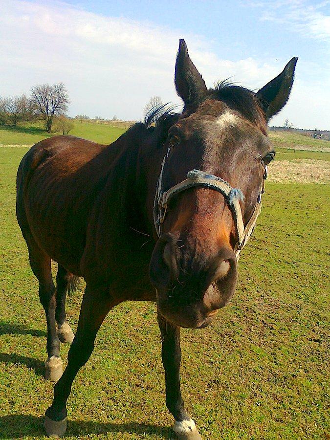 A pozwolenie na fotografowanie Pan ma?