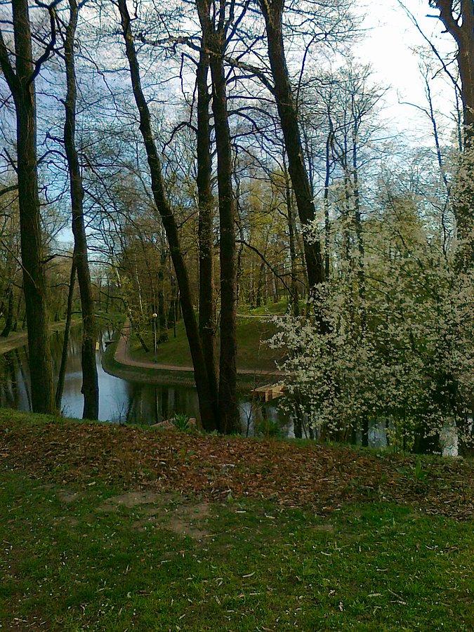 Wiosna w parku