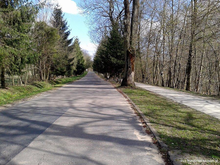 W drodze do Bażantarni