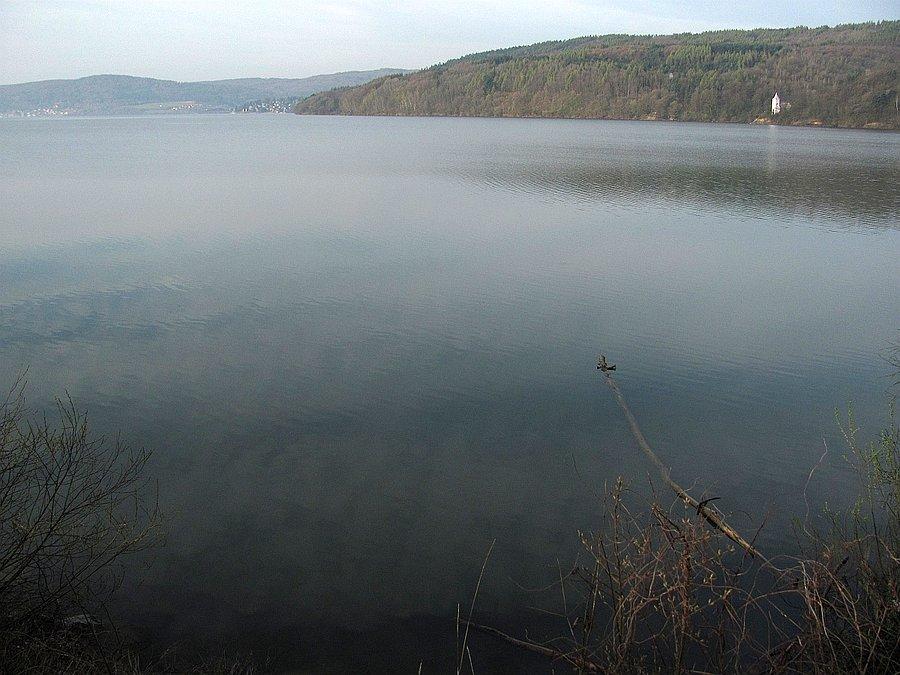 Domasa