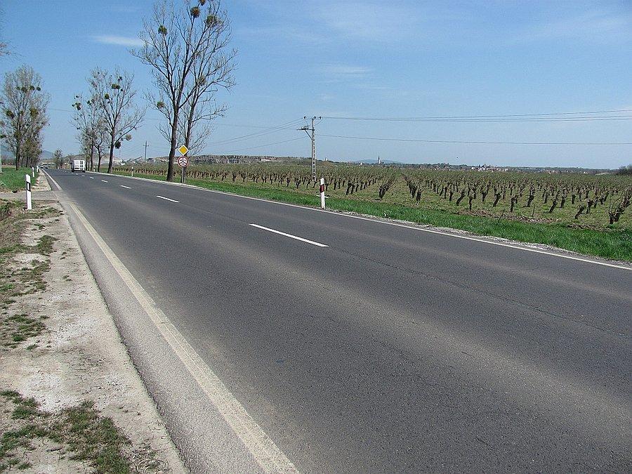 Lekko pofałdowane proste pod wiatr między winnicami i sadami