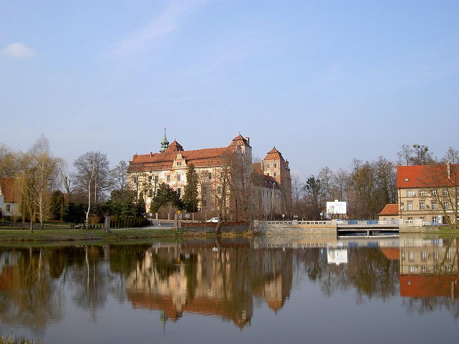 Zamek w Niemodlinie