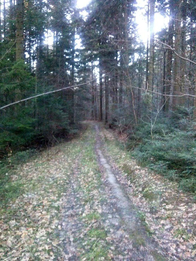 Świętokrzyski park Narodowy