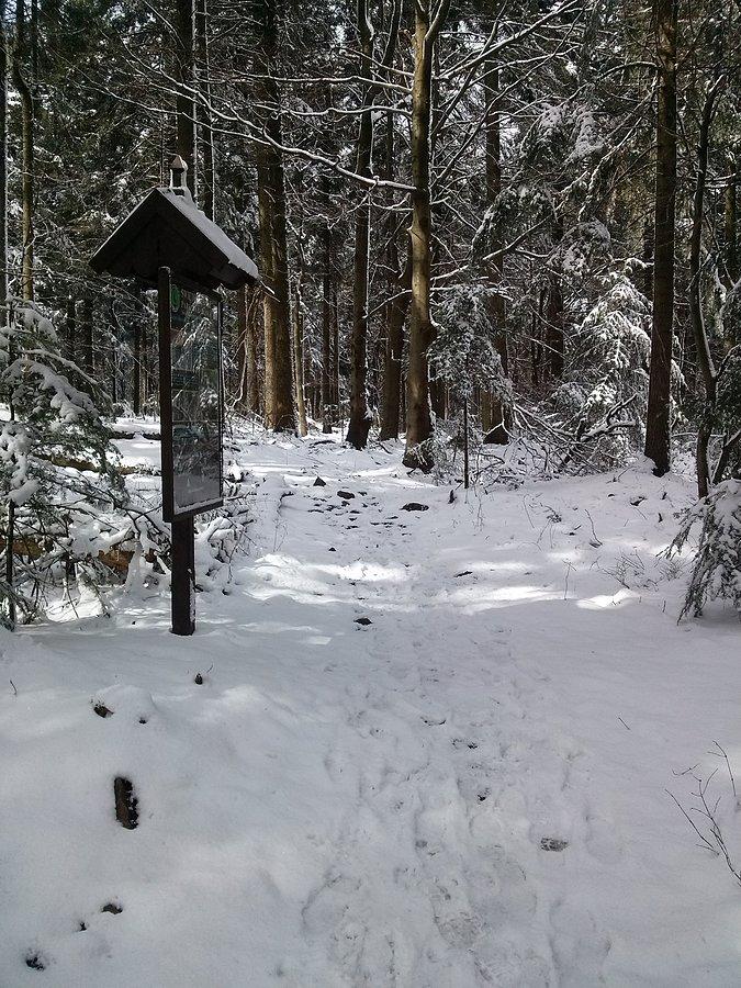 Śnieg