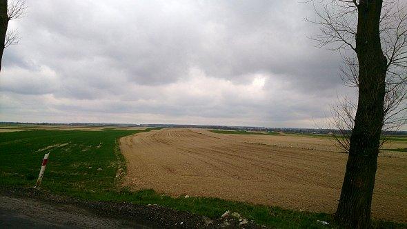 Pola koło Bełżyc