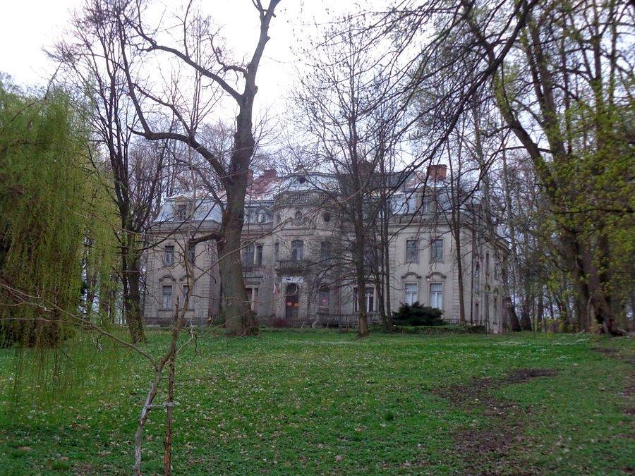 Pałac w Borkowicach