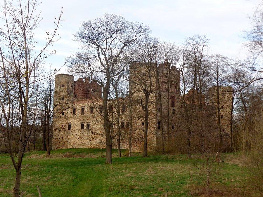 Ruiny zamku Drzewica