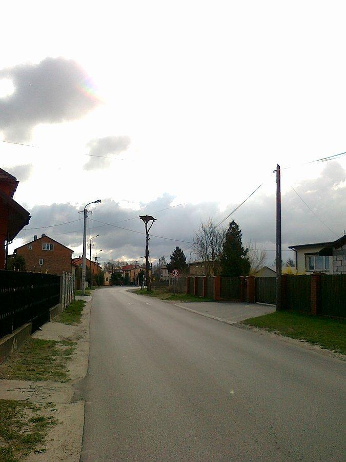 Biedny bocian siedział w tym gnieździe na słupie