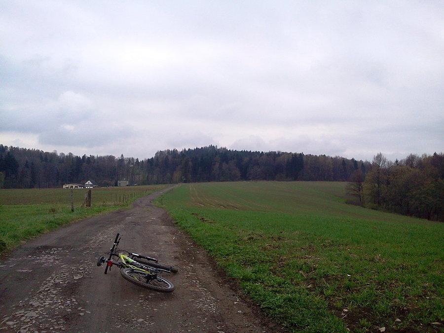 Punców