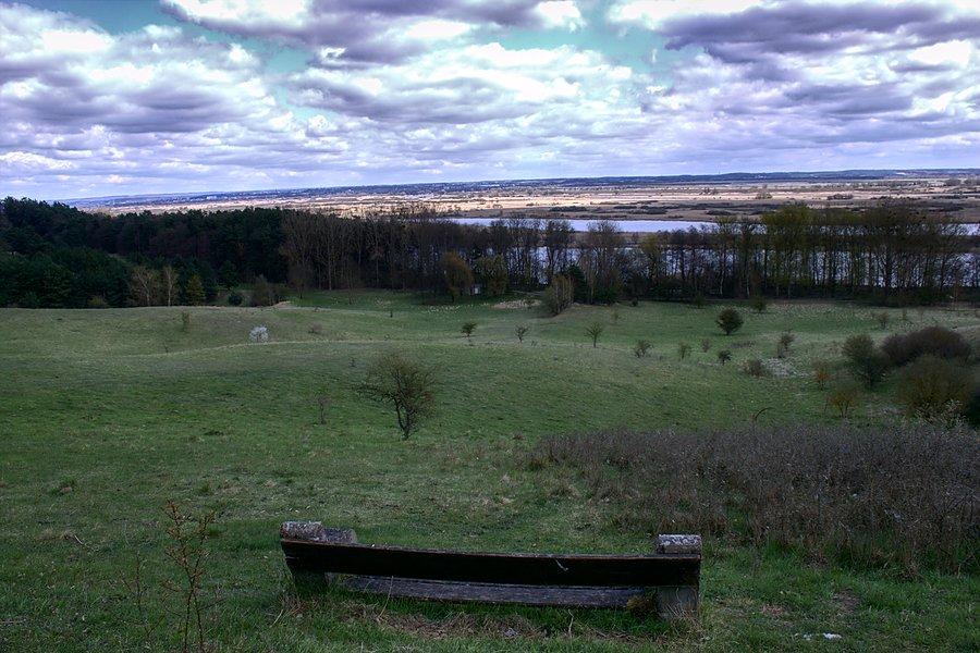 Widok na Odrę z wzgórza z ławeczką