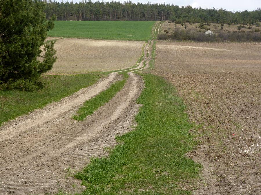 Kto drogi prostuje