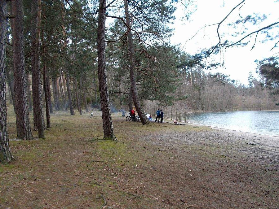 49 Harpagan - Kaliska