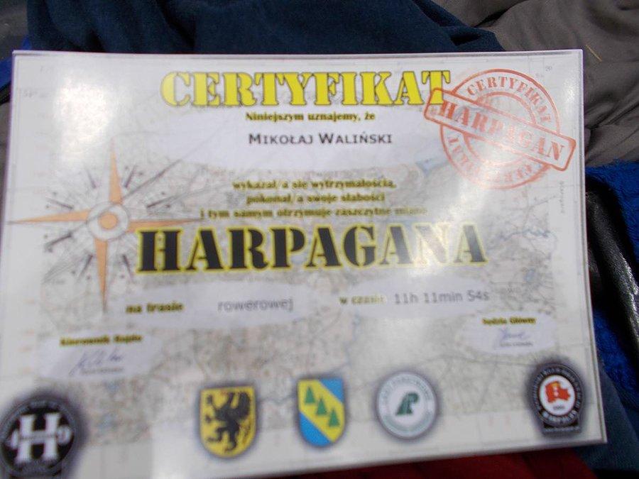 49 Harpagan - Kaliska (certyfikat Mikołaja)