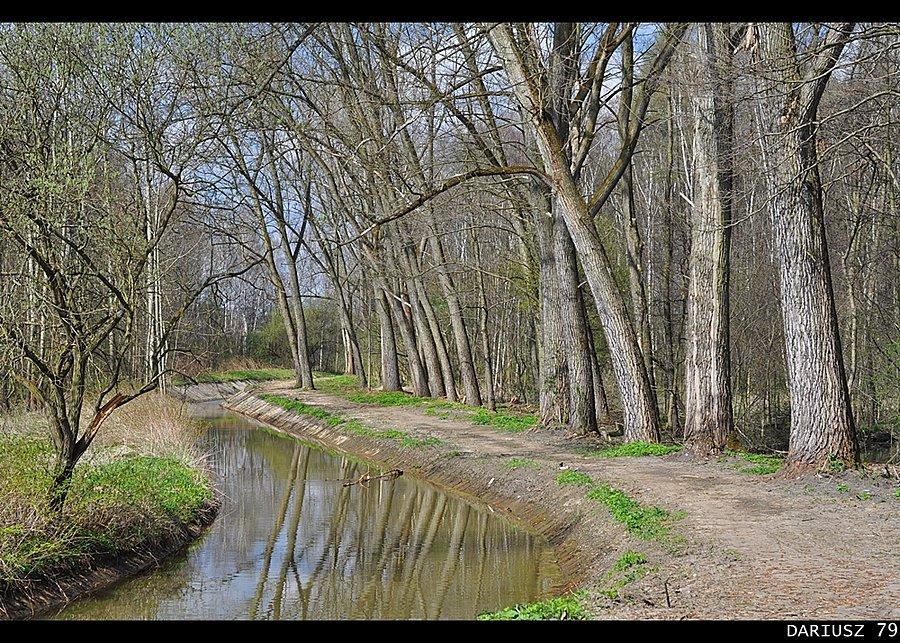 Sosnowiec Zagórze - Las Zagórski