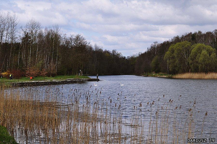Sosnowiec Kazimierz - Park miejski im. Jacka Kuronia