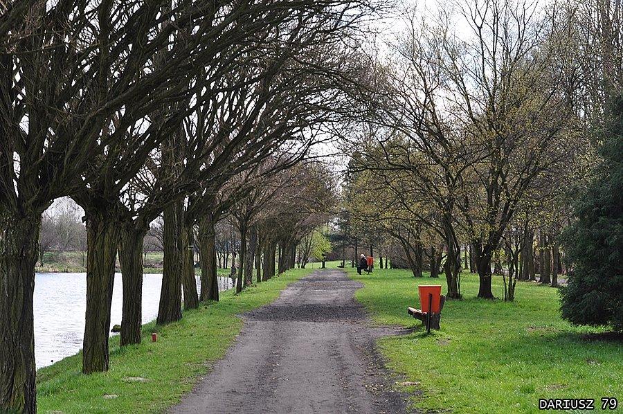 Sosnowiec Kazimierz - Park miejski im. Jacka Kuronia