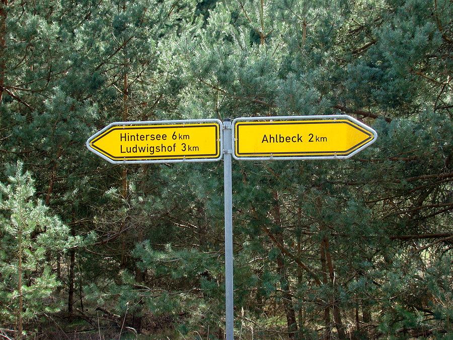 Z powrotem z Wojtkiem i Tunią przez Rieth , Nowe Warpno , jezioro Piaski i Tanowo - na rozdrożu