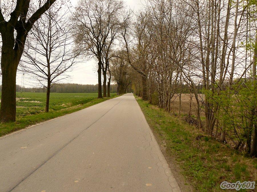 Spokojna szosa na Chudów