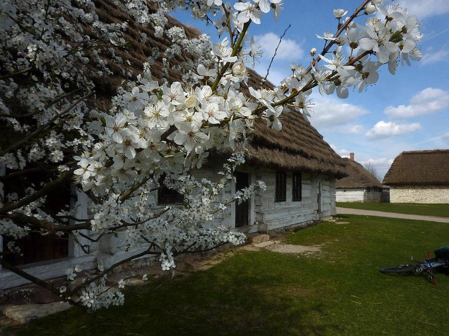 Wiosna się rozkręca