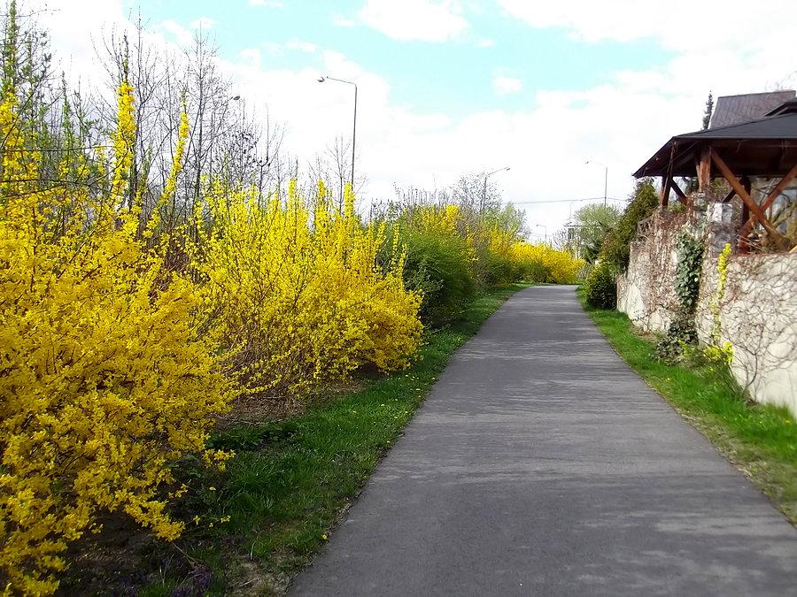 Bohumin. Zaraz granica