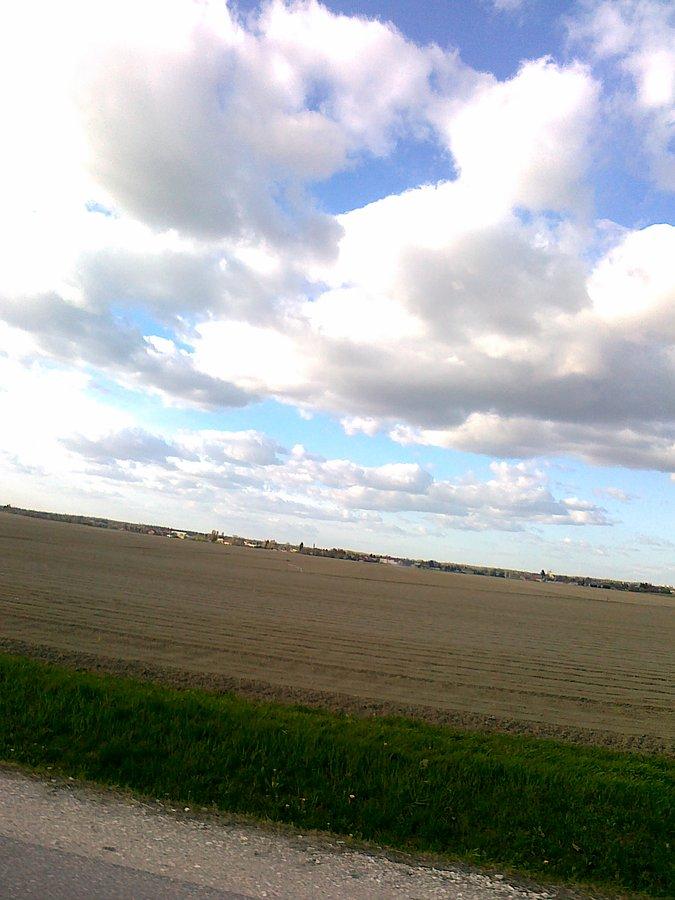 Chmury nad polem