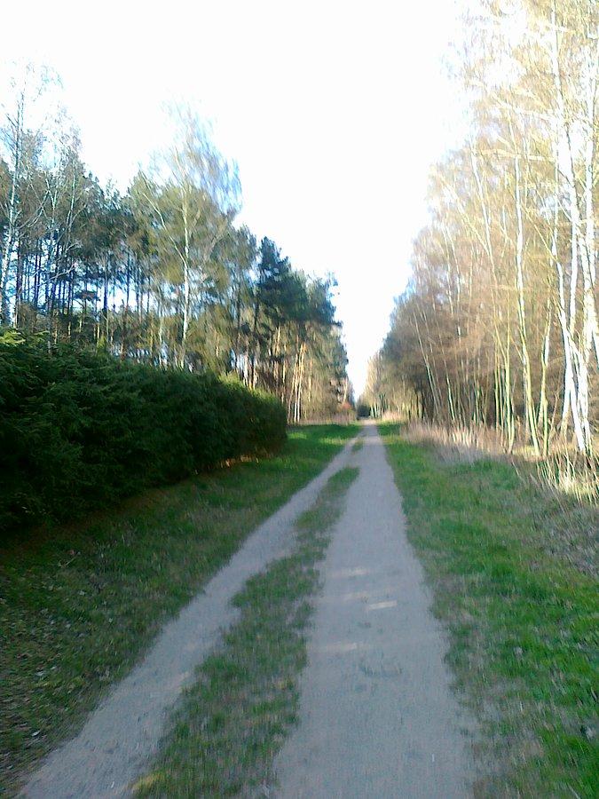 Przez las