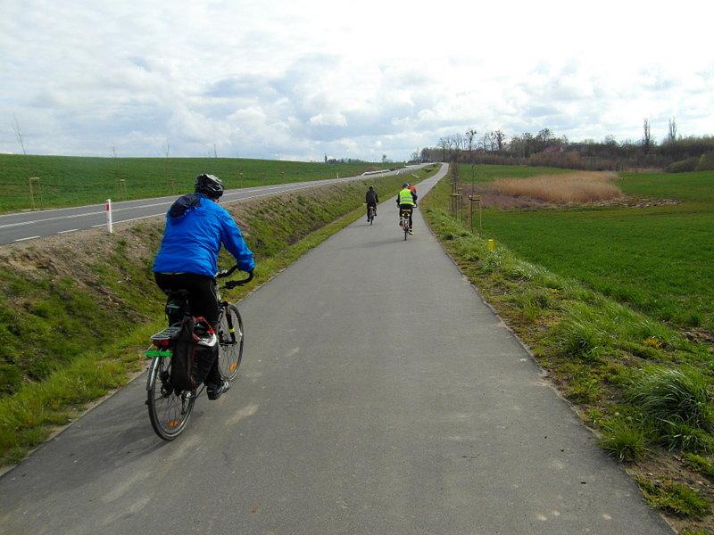 Szerokie asfaltowe ścieżki rowerowe