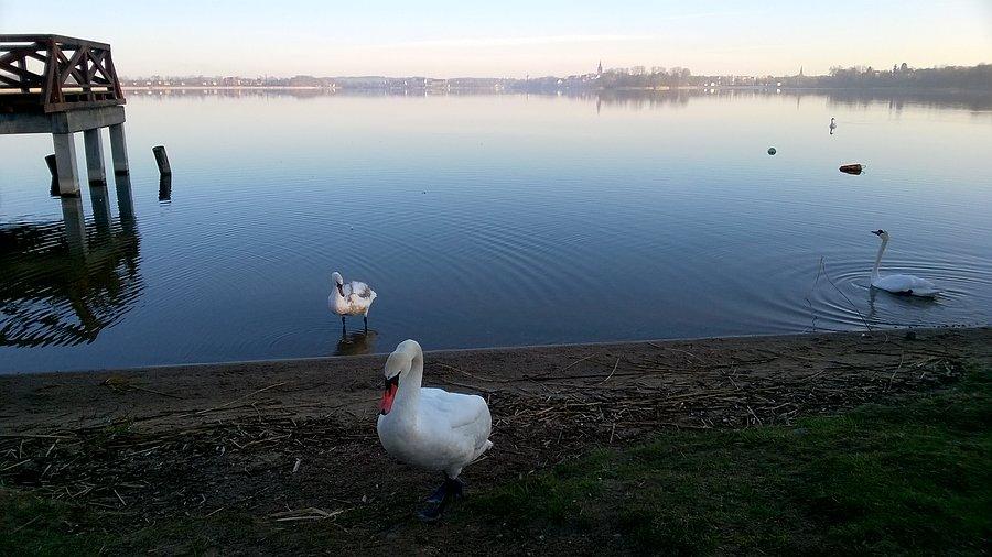 Jezioro Ełckie, os. Jeziorna