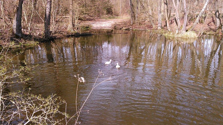 Nie dodała