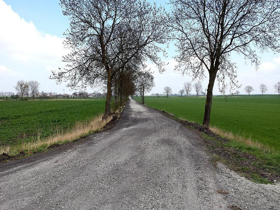 Nowa szutrówka do Kłębów z N.Przylepu