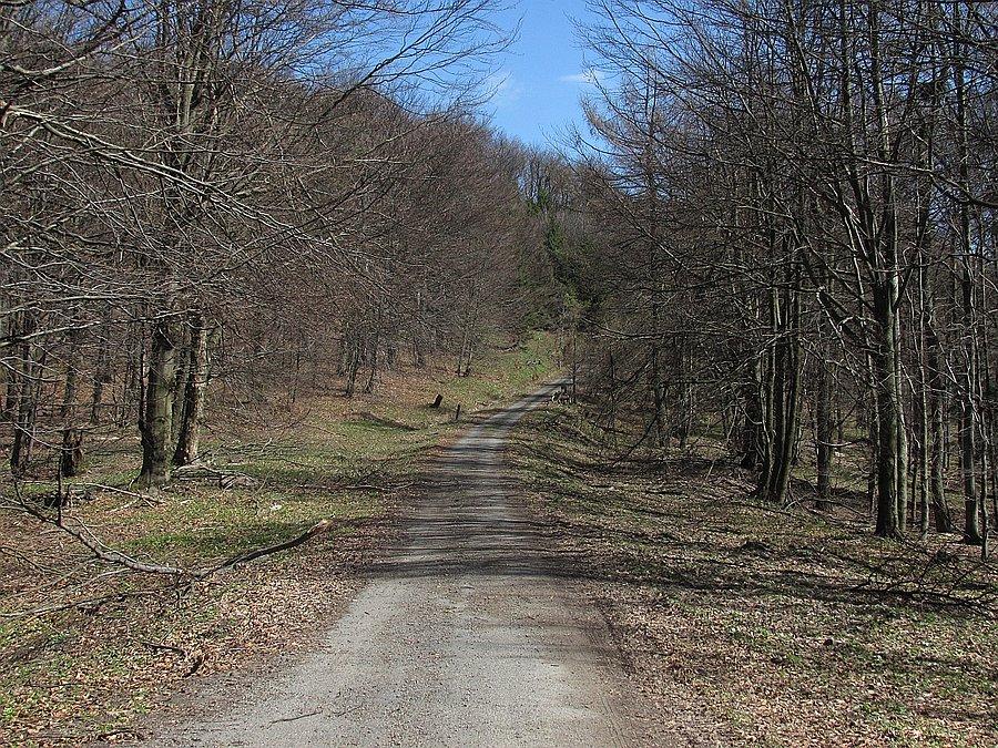 Ostatnie proste do szczytu